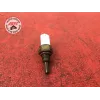 Sonde de température